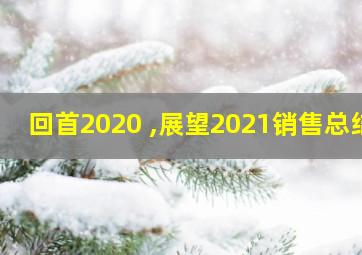 回首2020 ,展望2021销售总结